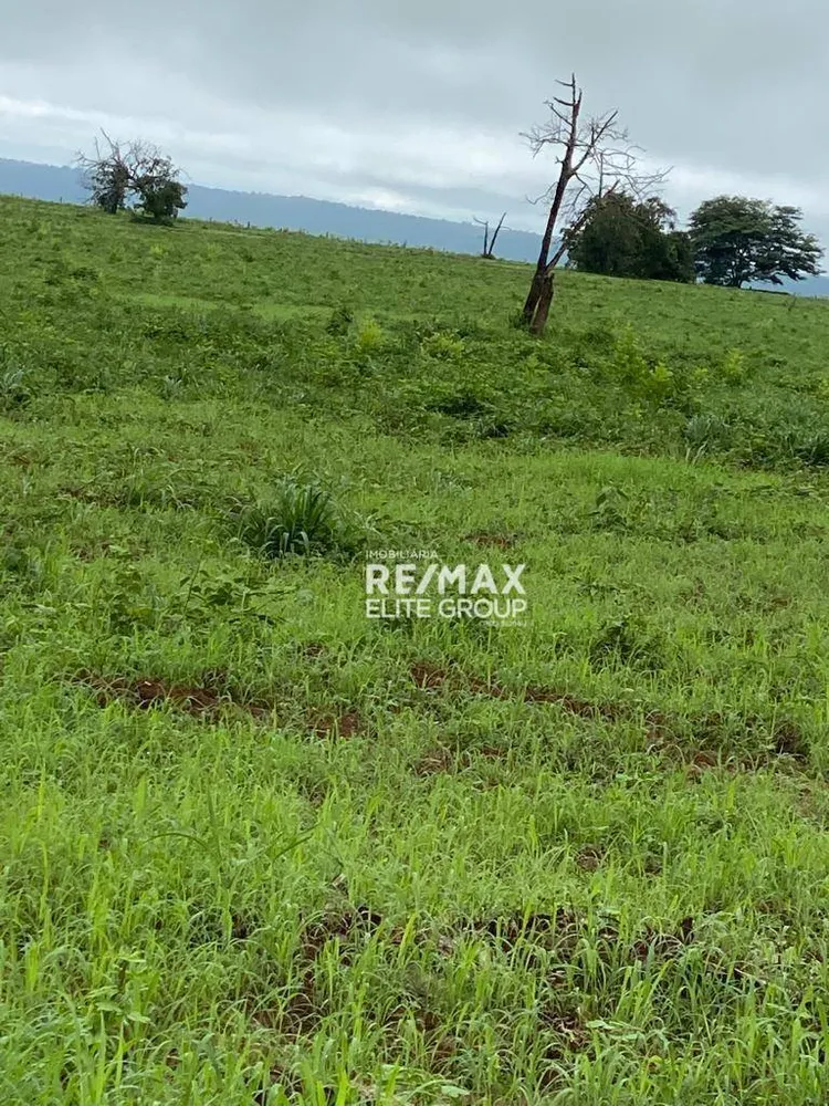 Fazenda, 4660 hectares - Foto 1