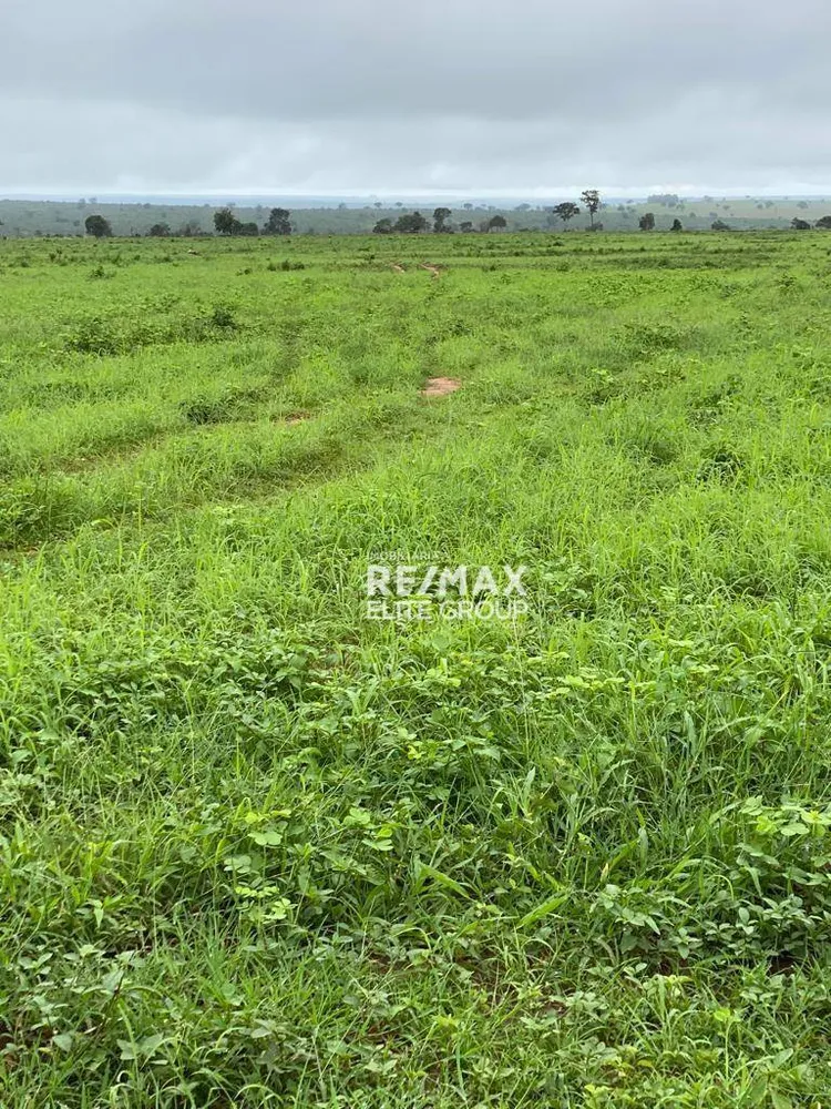Fazenda, 4660 hectares - Foto 3