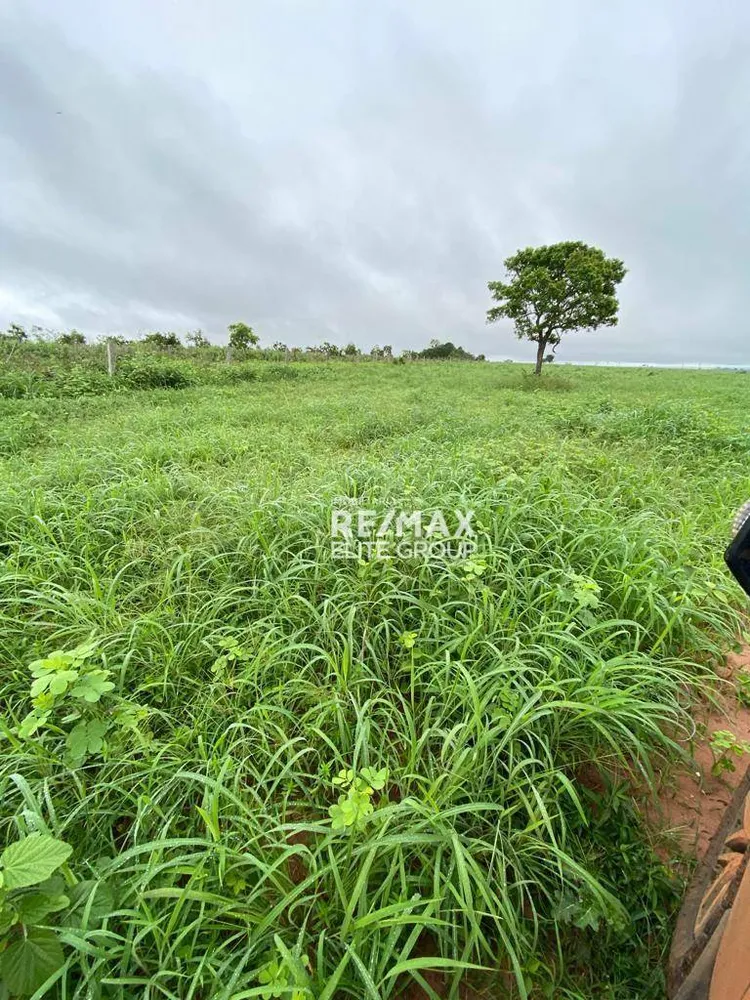Fazenda, 4660 hectares - Foto 4