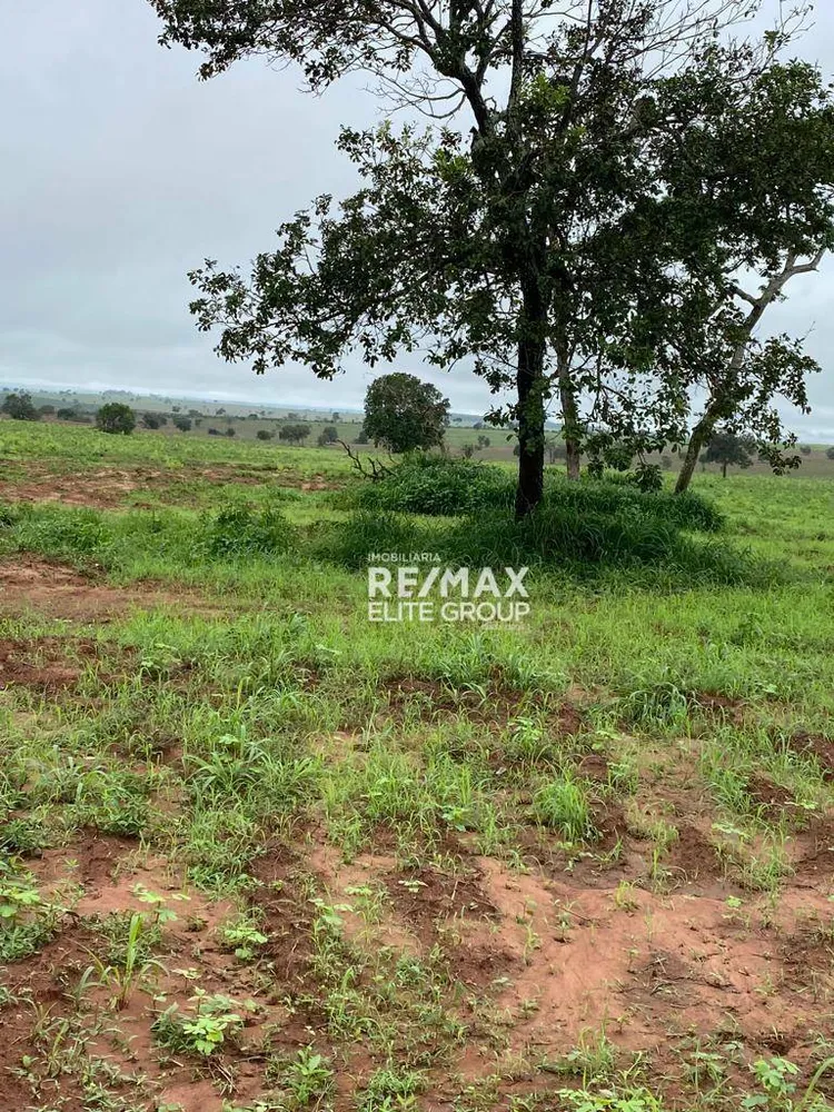 Fazenda, 4660 hectares - Foto 2