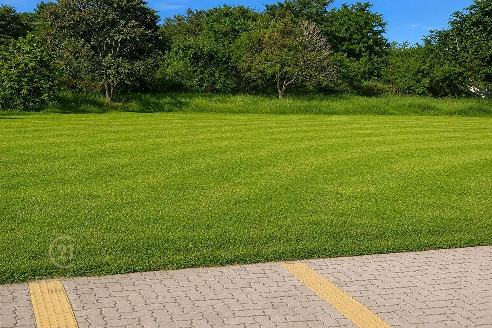 Loteamento e Condomínio, 665 m² - Foto 4