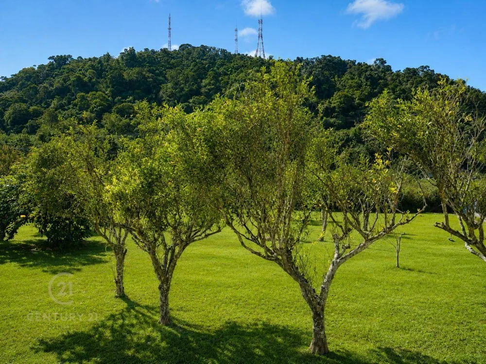 Chácara, 4 quartos, 3900 m² - Foto 8
