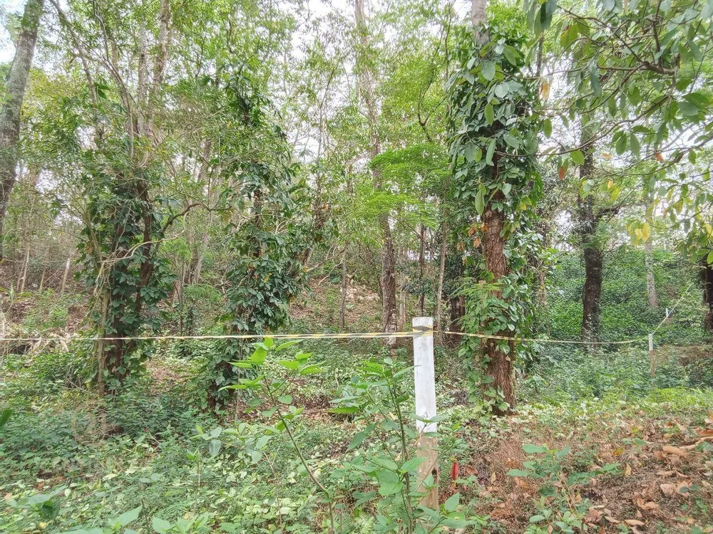 Loteamento e Condomínio, 1014 m² - Foto 4