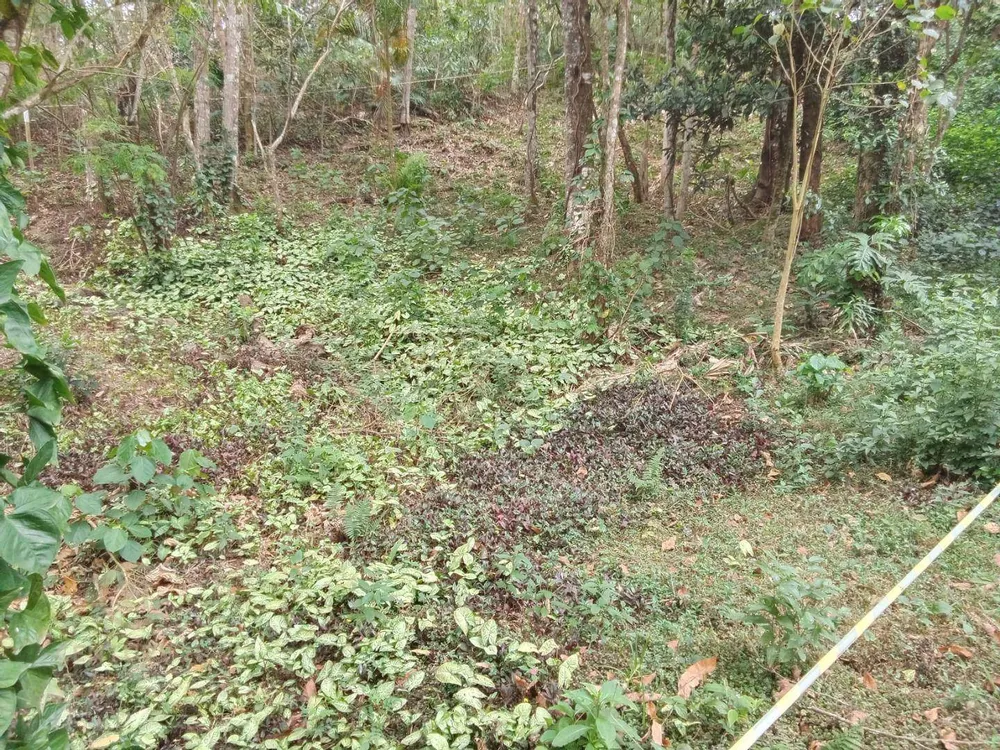 Loteamento e Condomínio, 1014 m² - Foto 7