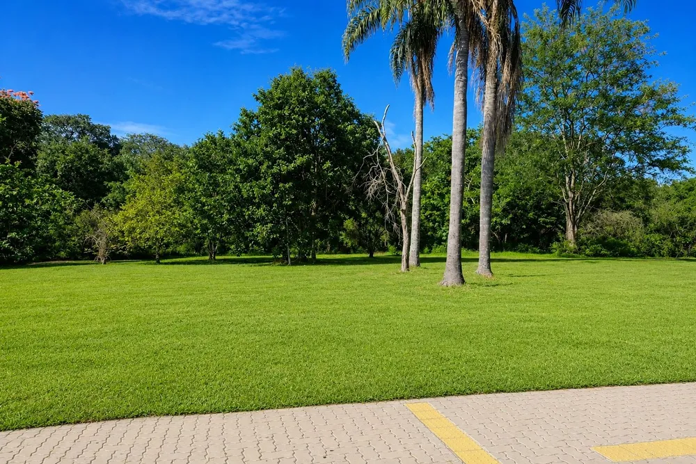 Loteamento e Condomínio, 700 m² - Foto 1