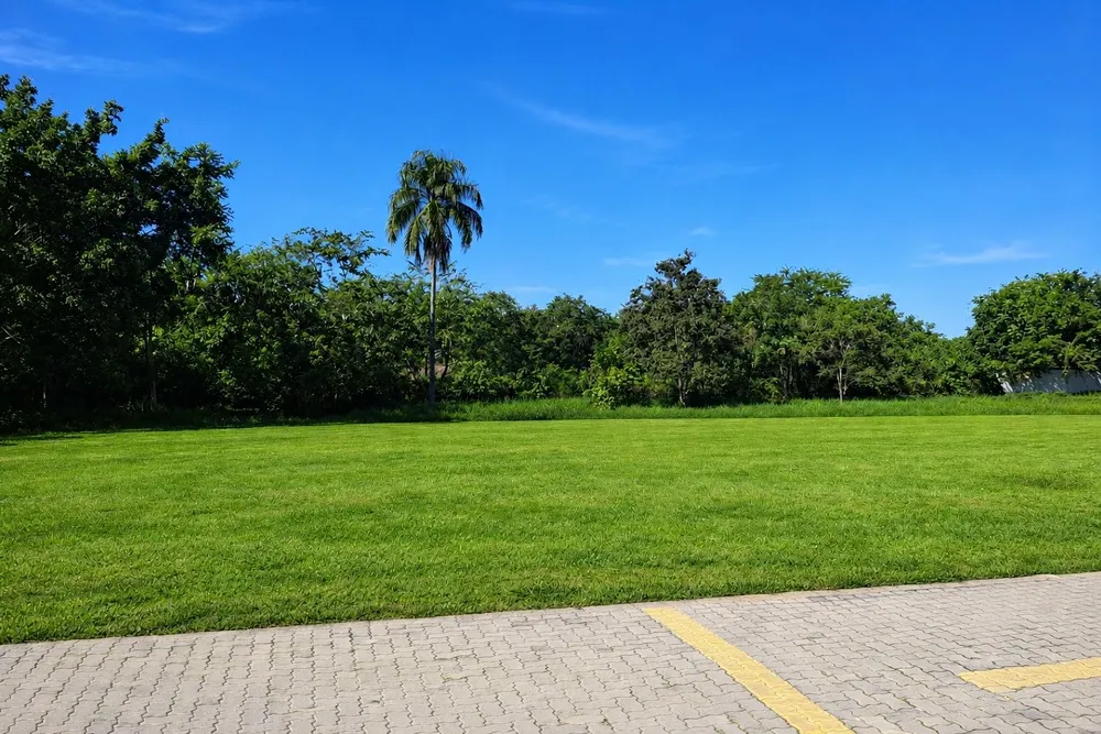 Loteamento e Condomínio, 700 m² - Foto 2
