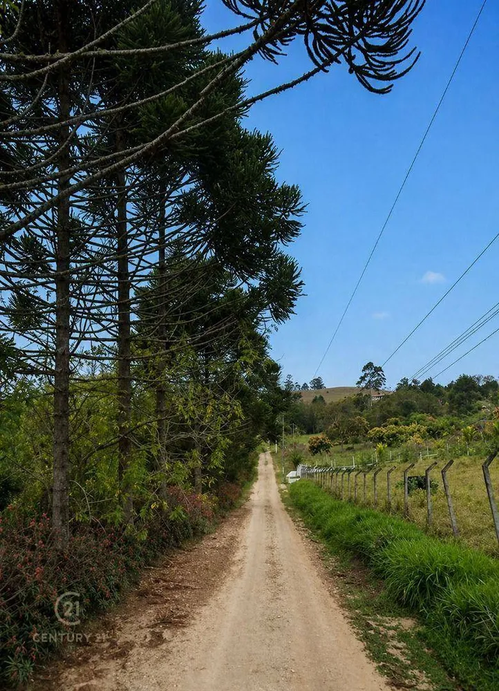 Terreno, 5000 m² - Foto 1