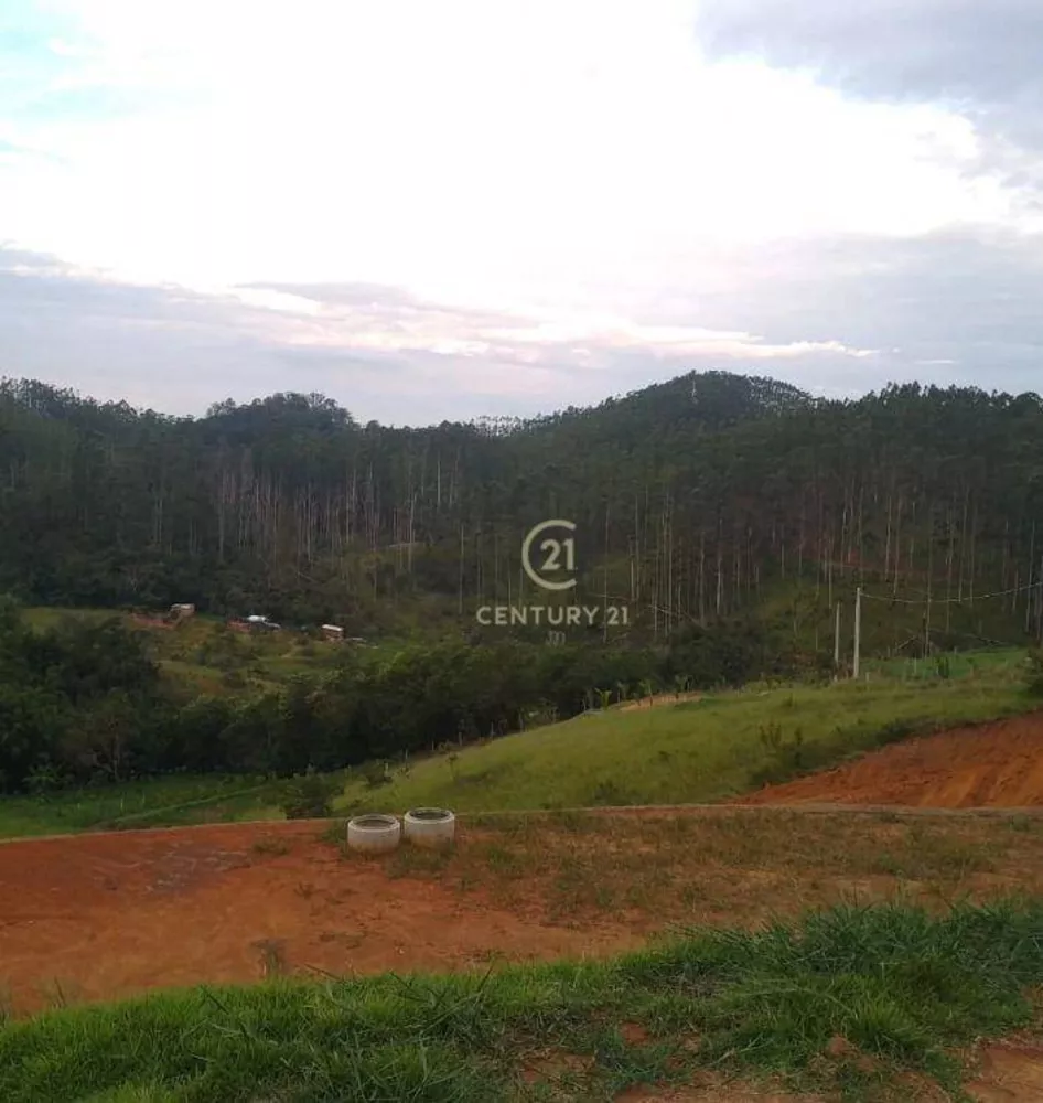 Terreno, 2800 m² - Foto 9