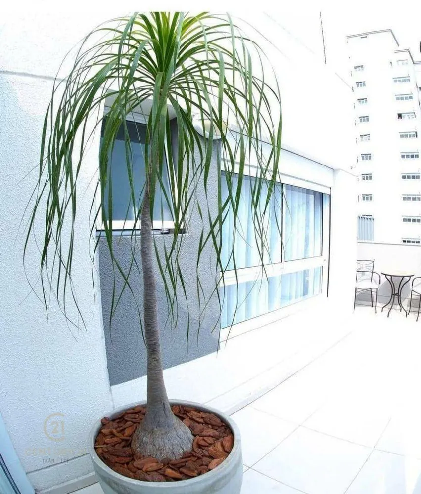 Apartamento, 2 quartos, 155 m² - Foto 11