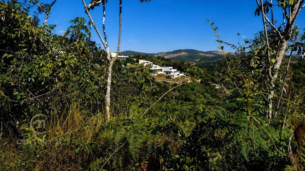 Loteamento e Condomínio, 4 hectares - Foto 3