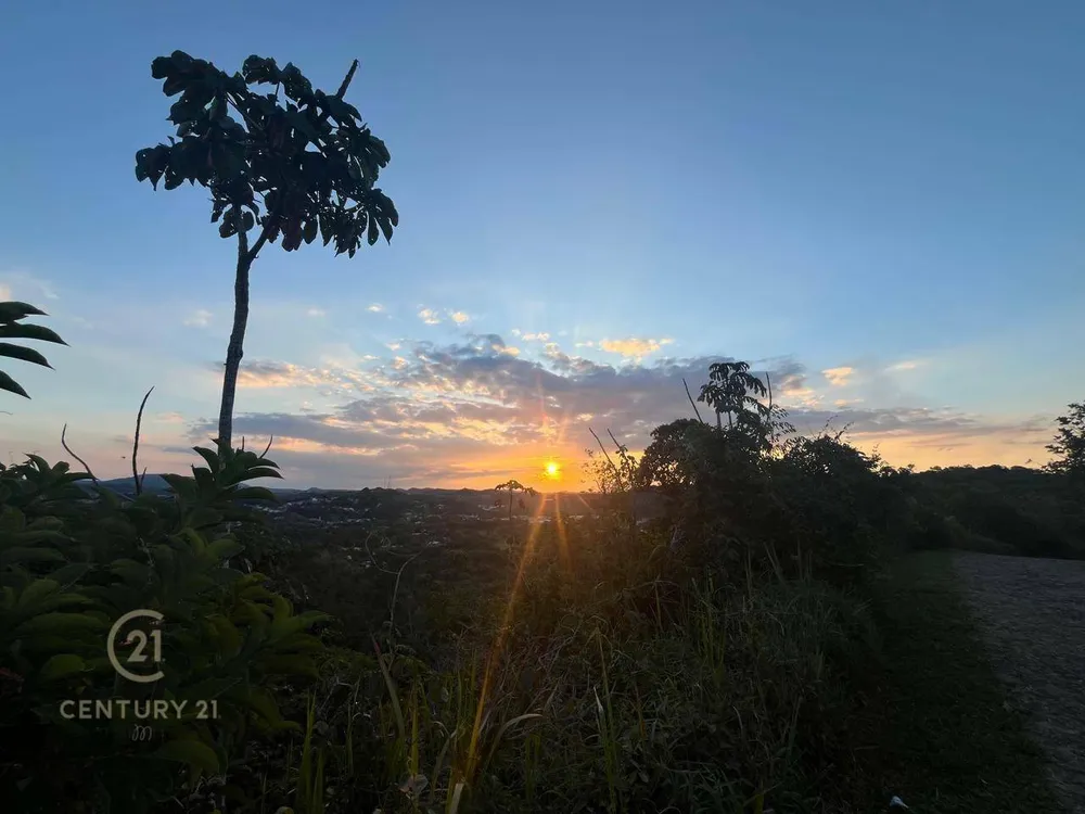 Loteamento e Condomínio, 4 hectares - Foto 8