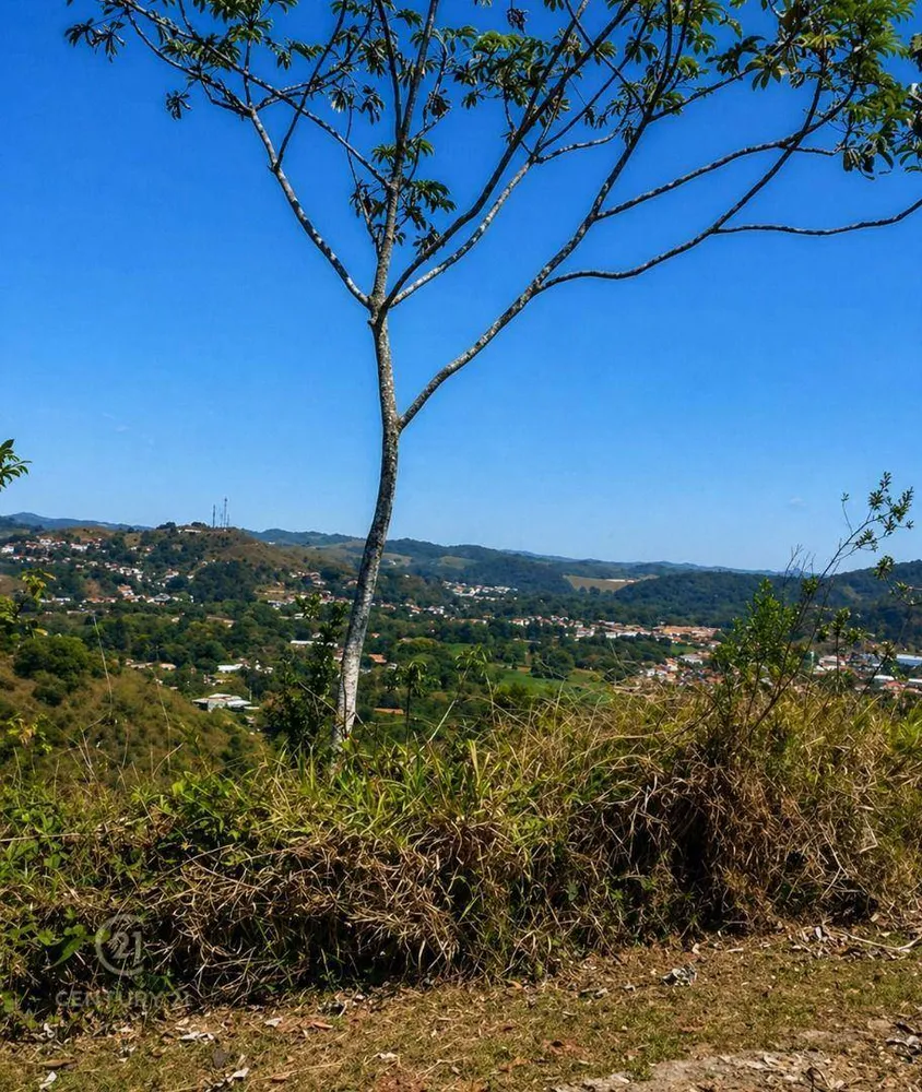 Loteamento e Condomínio, 2 hectares - Foto 7