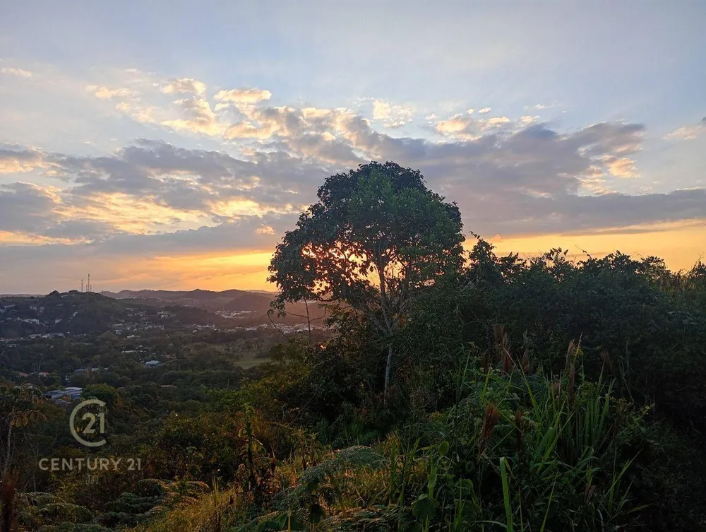 Loteamento e Condomínio, 2 hectares - Foto 8