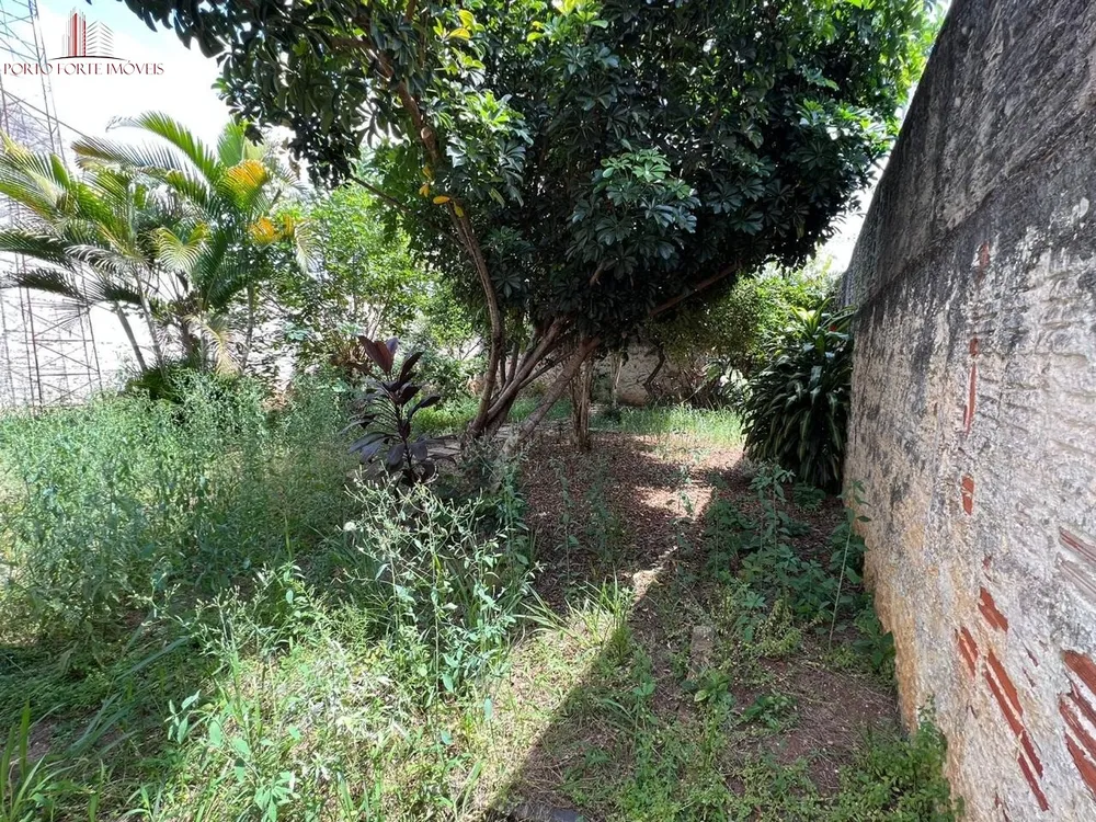 Casa, 3 quartos, 479 m² - Foto 15