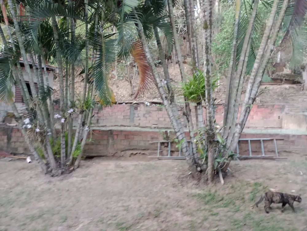 Chácara, 3 quartos, 1560 m² - Foto 2