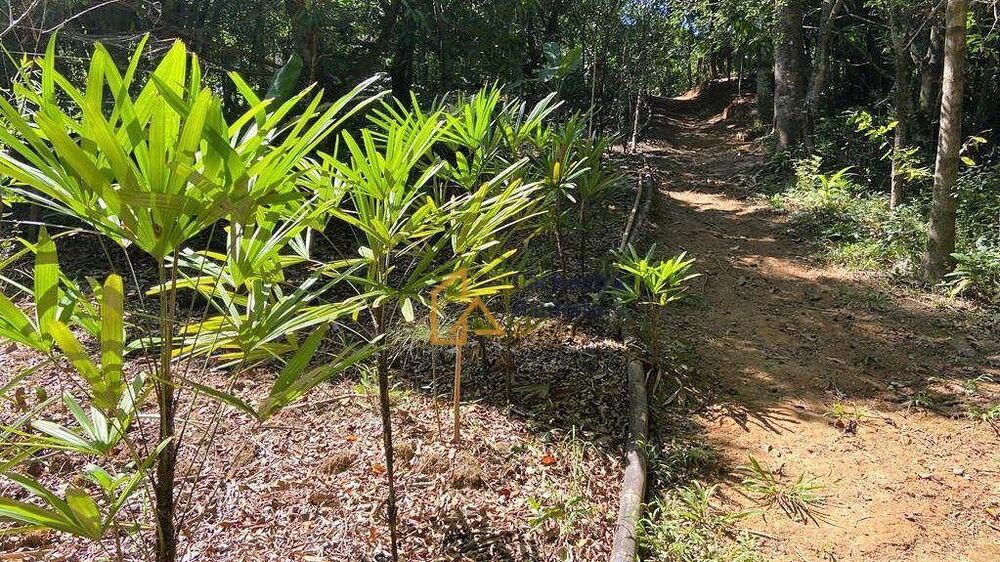 Chácara, 2 hectares - Foto 16