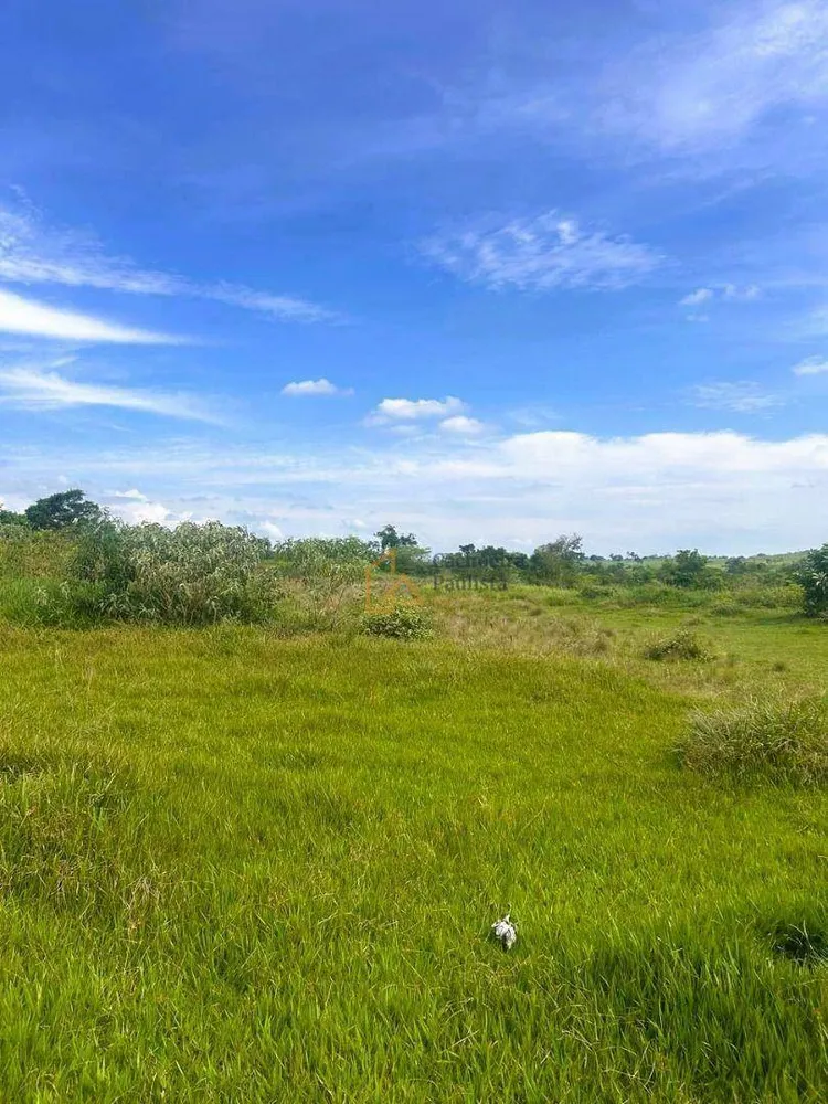 Terreno, 5 hectares - Foto 1