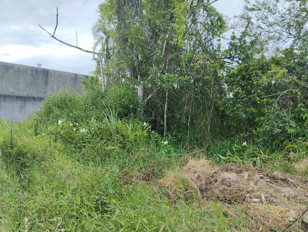 Terreno, 300 m² - Foto 8