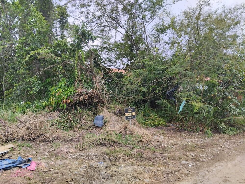 Terreno, 300 m² - Foto 2