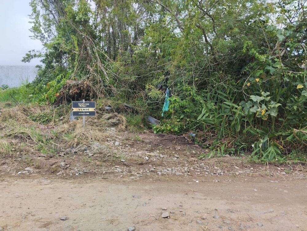 Terreno, 300 m² - Foto 1