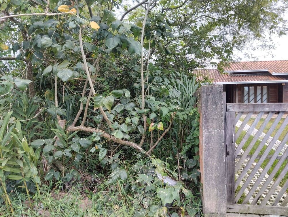 Terreno, 300 m² - Foto 6