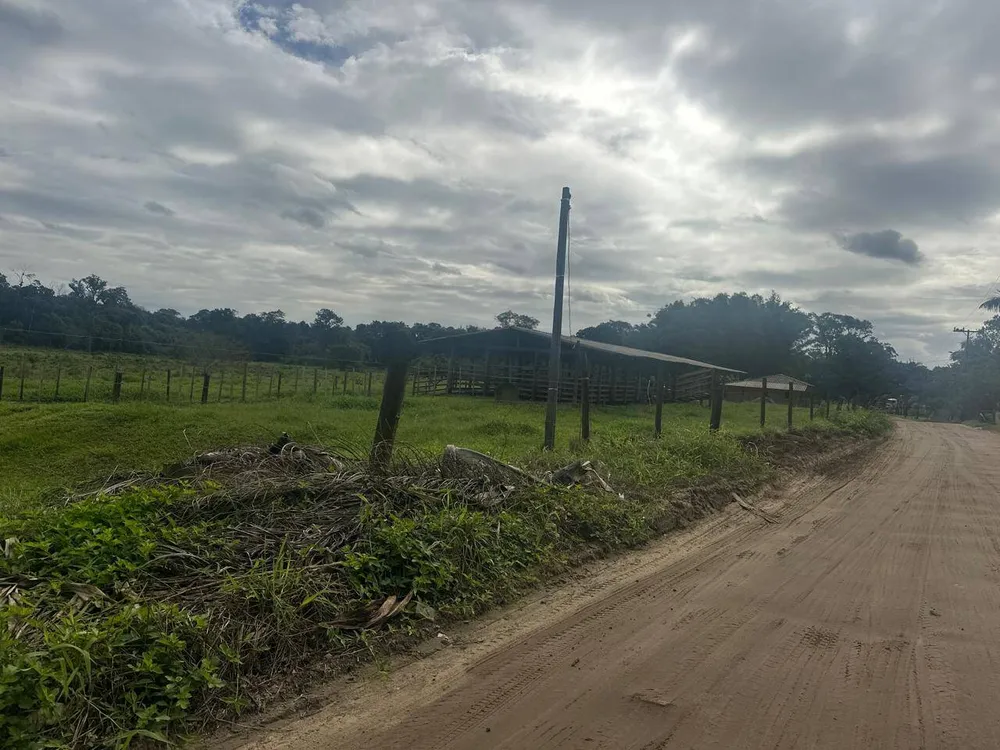 Terreno, 9 hectares - Foto 9