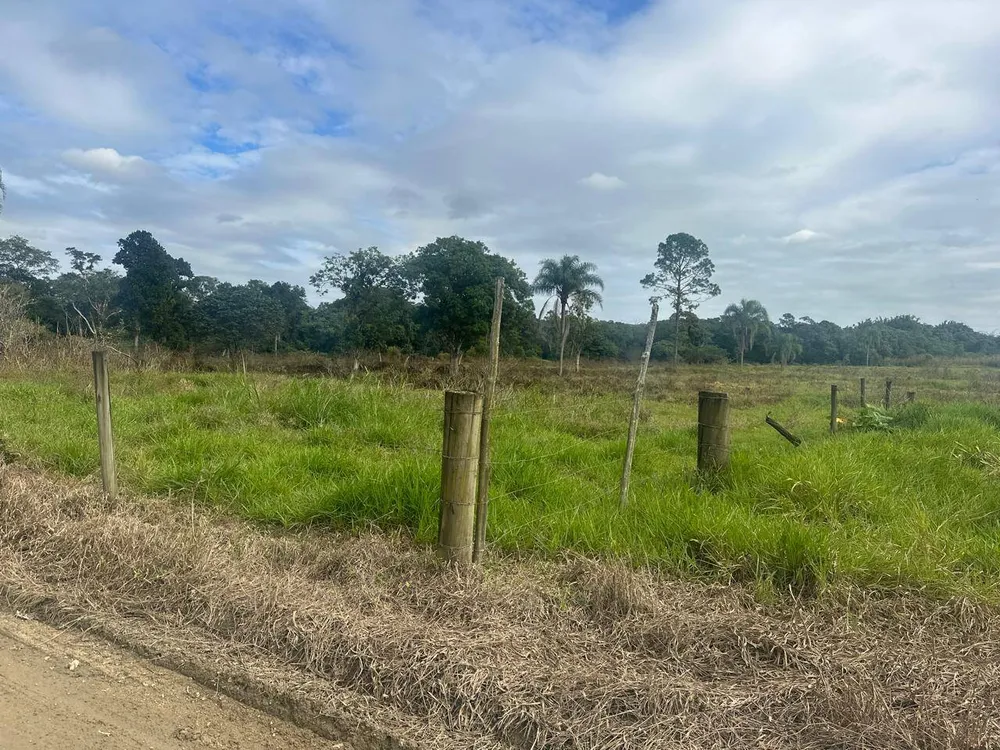 Terreno, 9 hectares - Foto 4