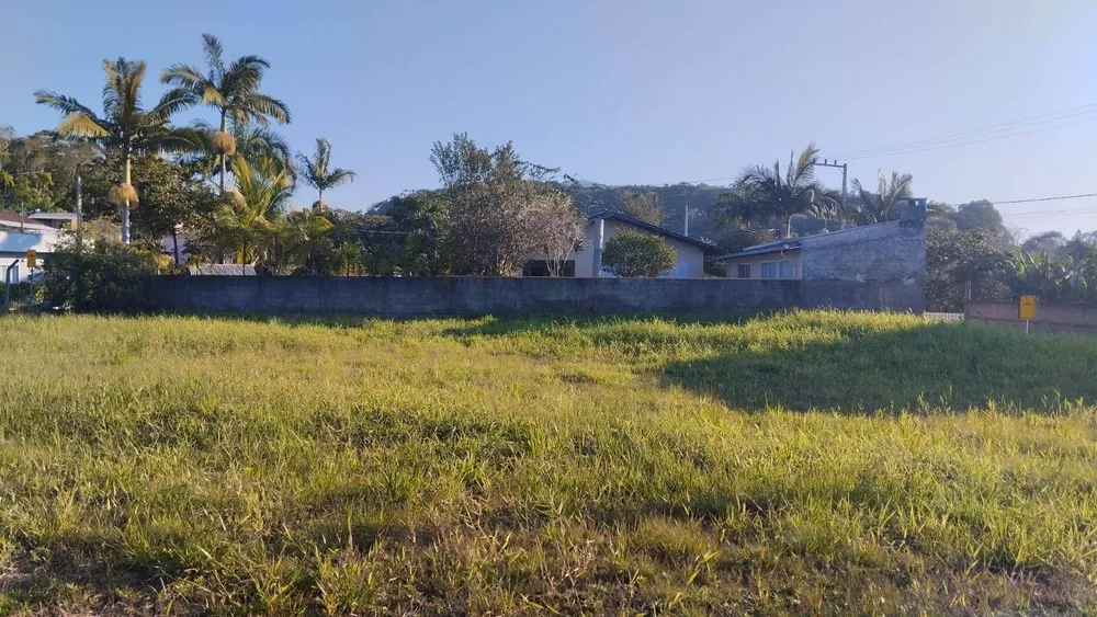Terreno, 2196 m² - Foto 4