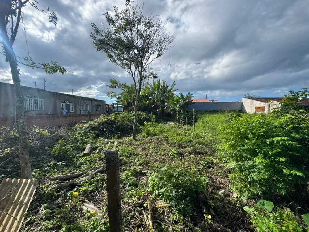 Terreno - Foto 1
