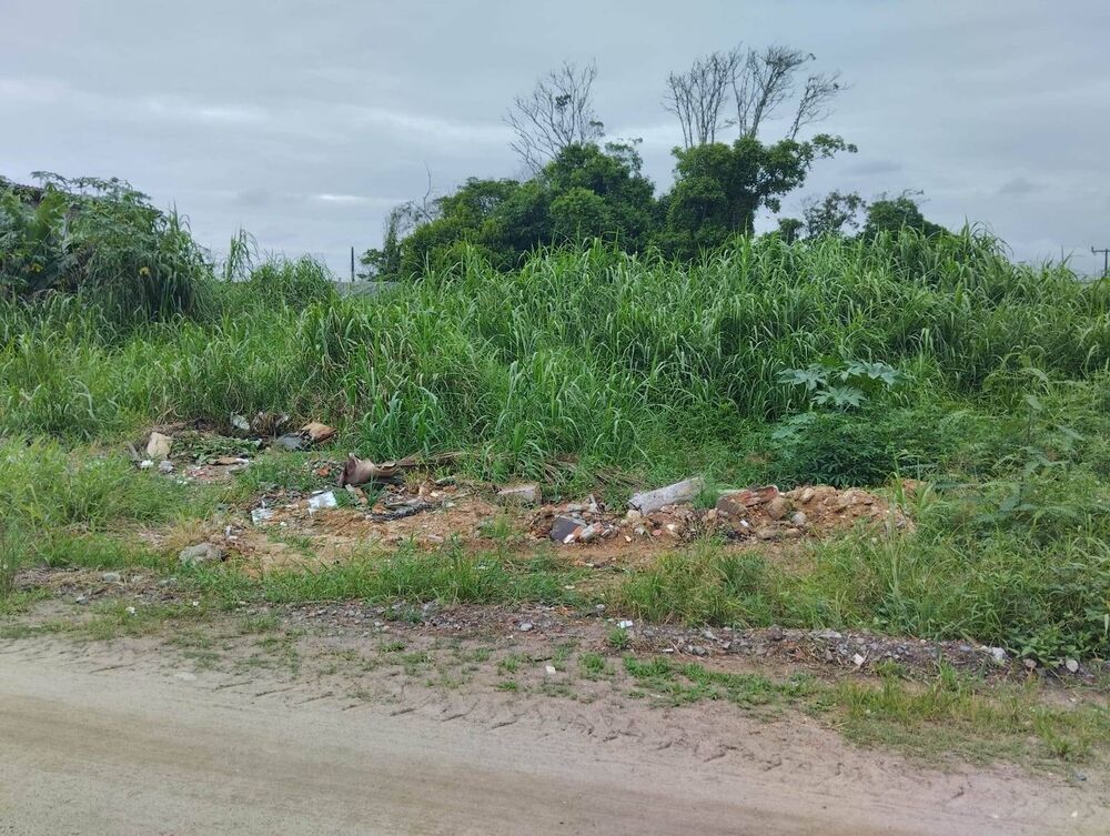 Terreno à venda, 325m² - Foto 2