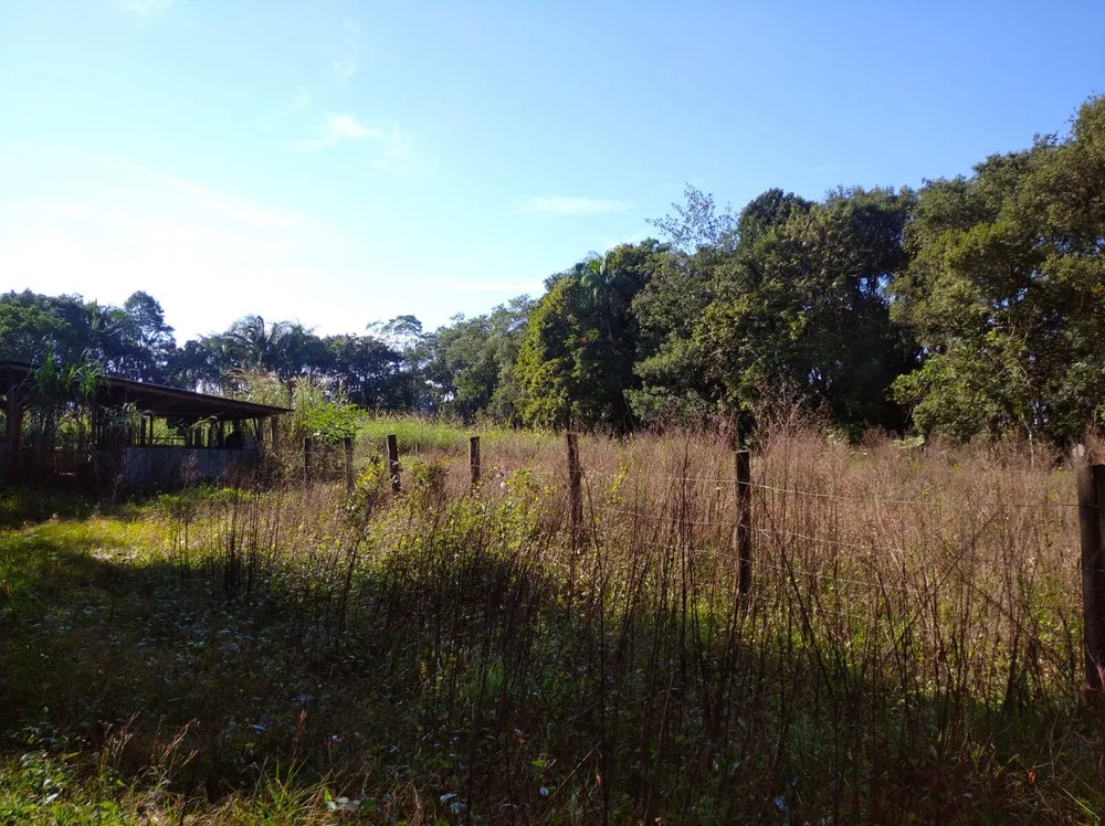 Terreno, 4 hectares - Foto 12