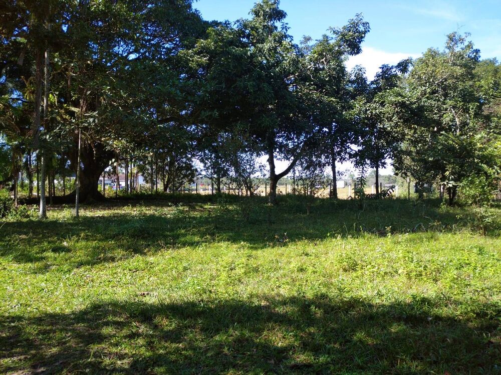 Terreno, 4 hectares - Foto 2