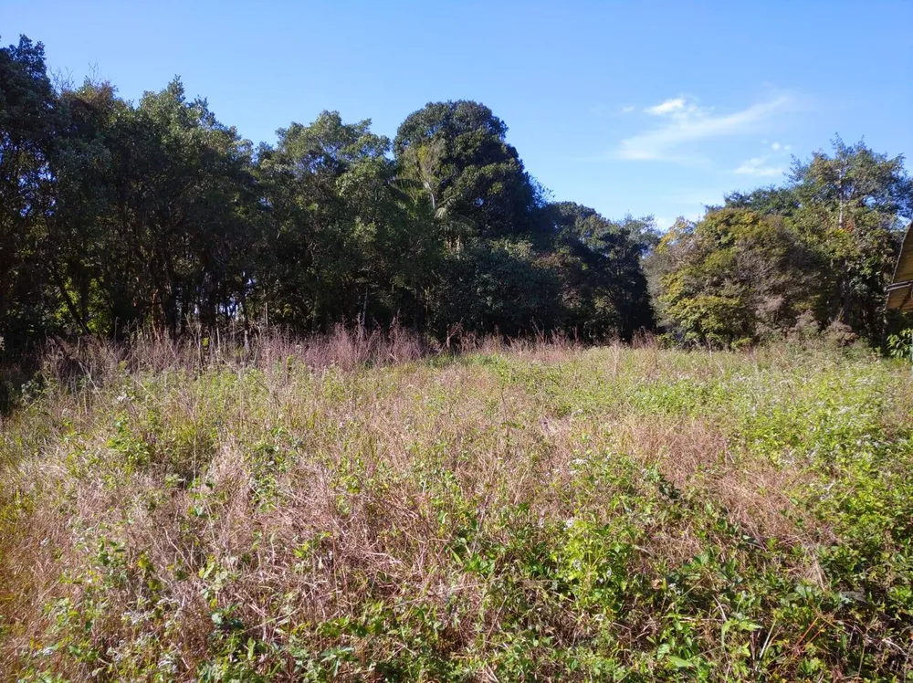 Terreno, 4 hectares - Foto 9