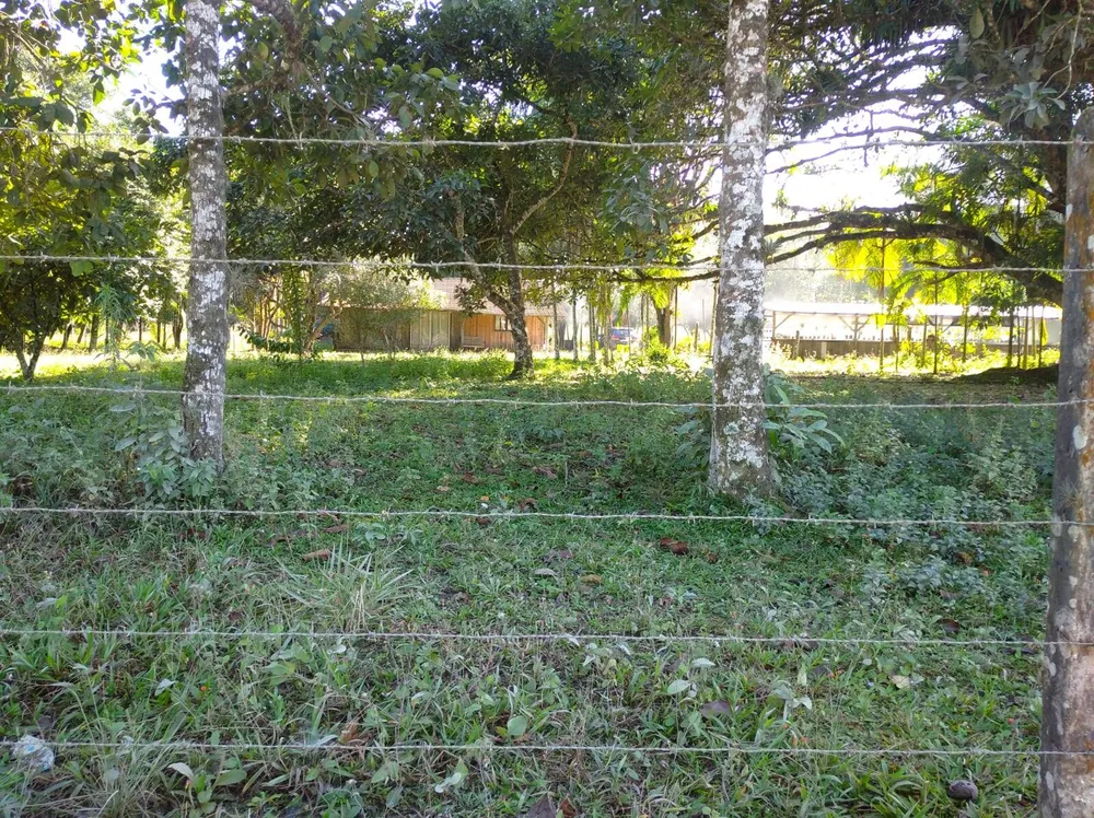 Terreno, 4 hectares - Foto 6