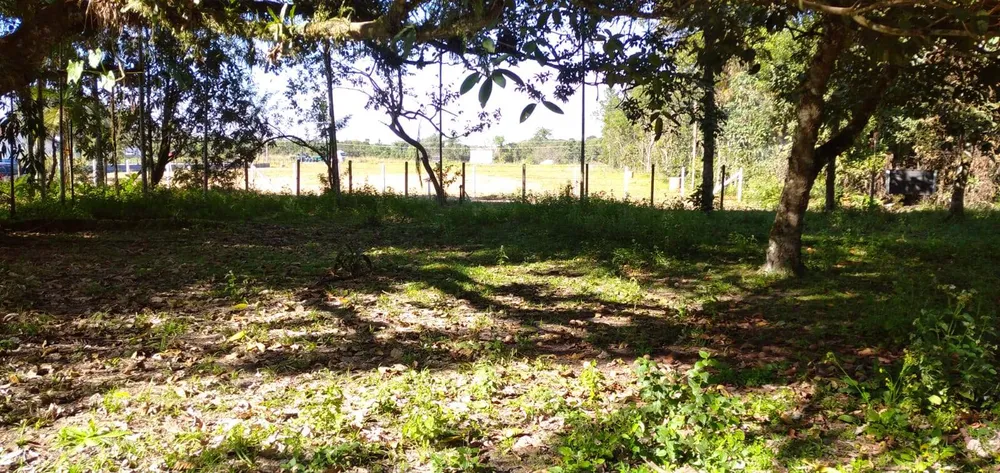 Terreno, 4 hectares - Foto 4