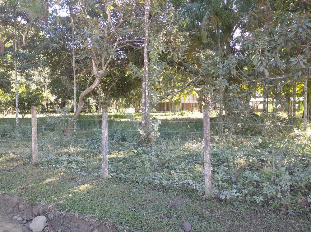 Terreno, 4 hectares - Foto 3