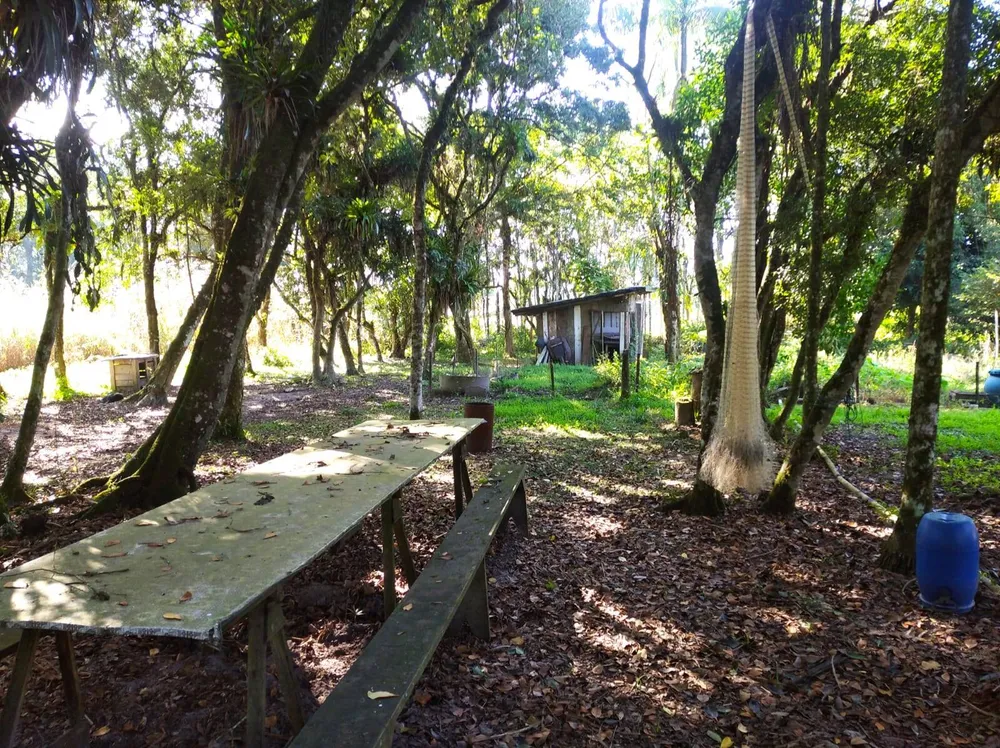 Terreno, 4 hectares - Foto 3