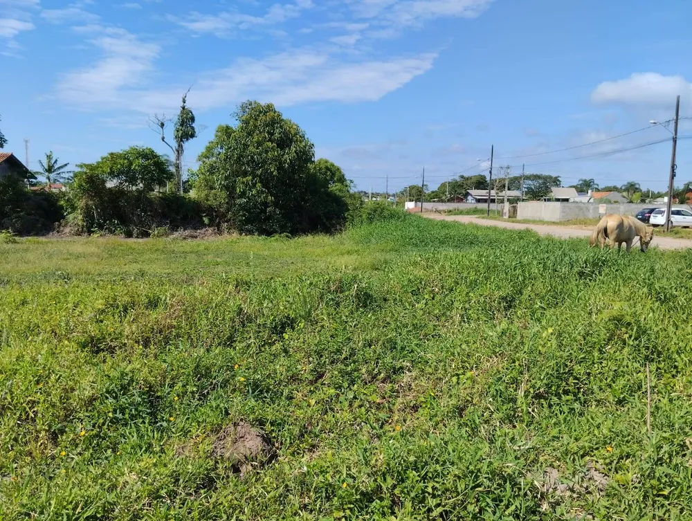 Terreno, 450 m² - Foto 6