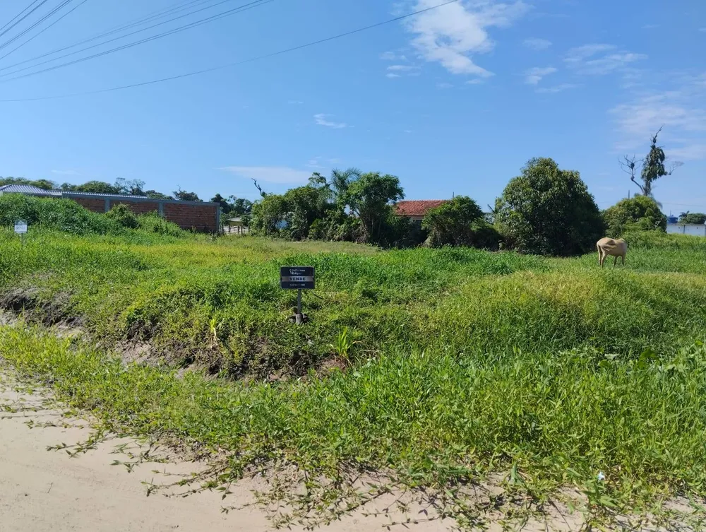 Terreno, 450 m² - Foto 7