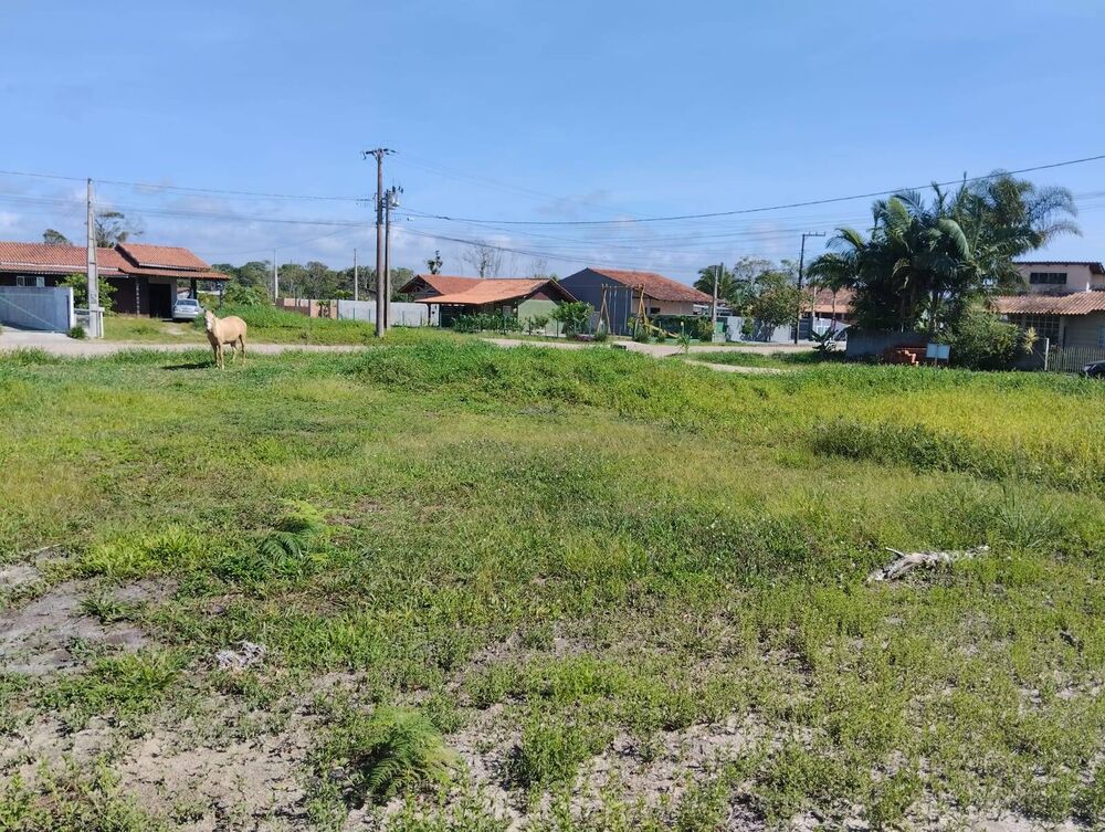 Terreno, 450 m² - Foto 3