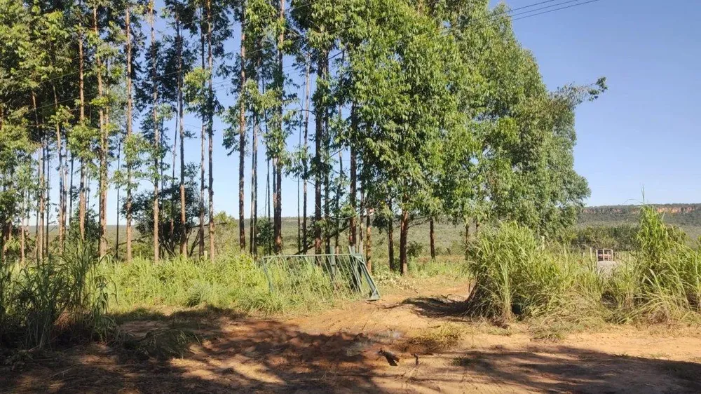 Terreno - Foto 14