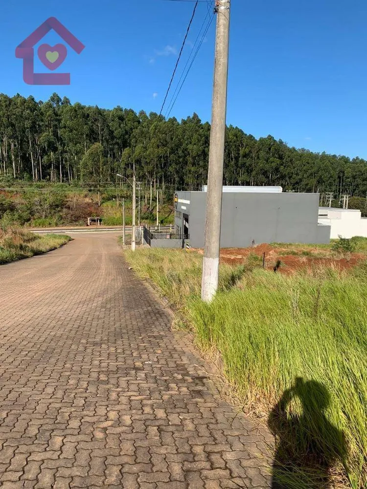 Terreno, 300 m² - Foto 4
