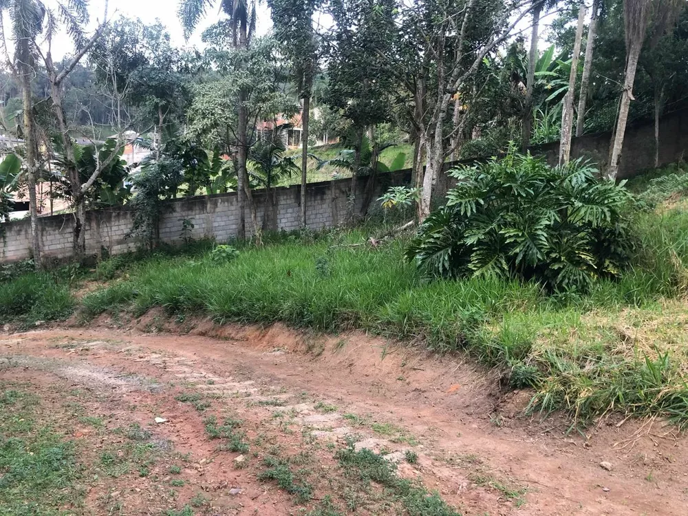 Casa, 11000 m² - Foto 4