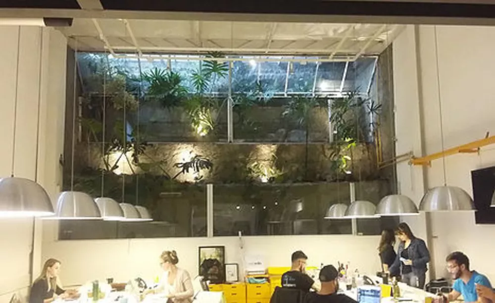 Prédio Inteiro, 300 m² - Foto 3