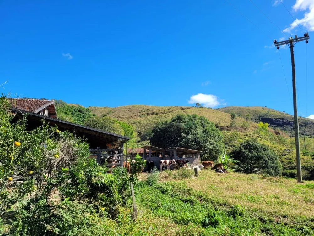 Fazenda, 129 hectares - Foto 29