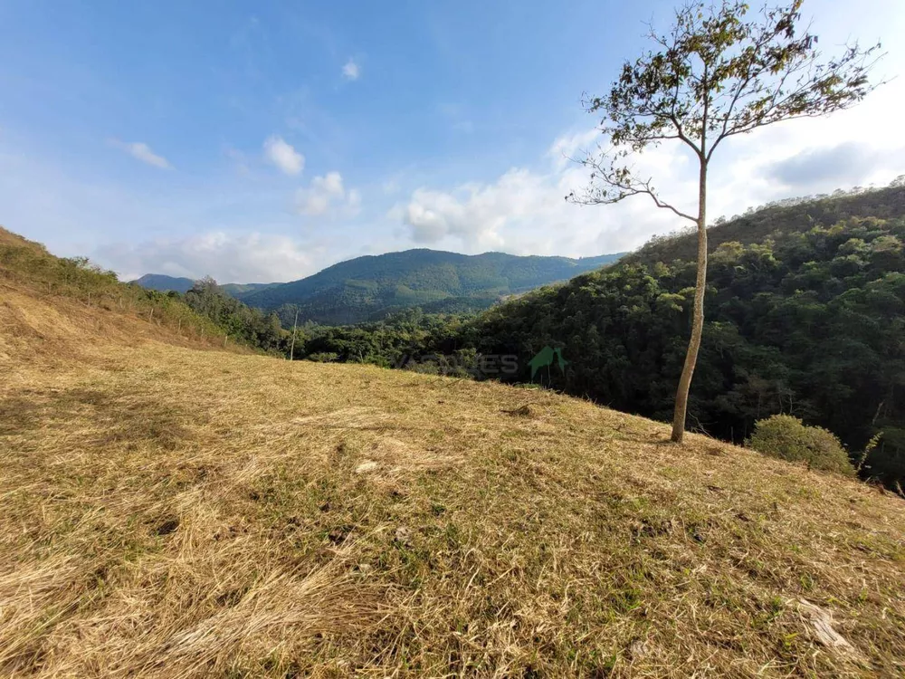 Fazenda, 129 hectares - Foto 24