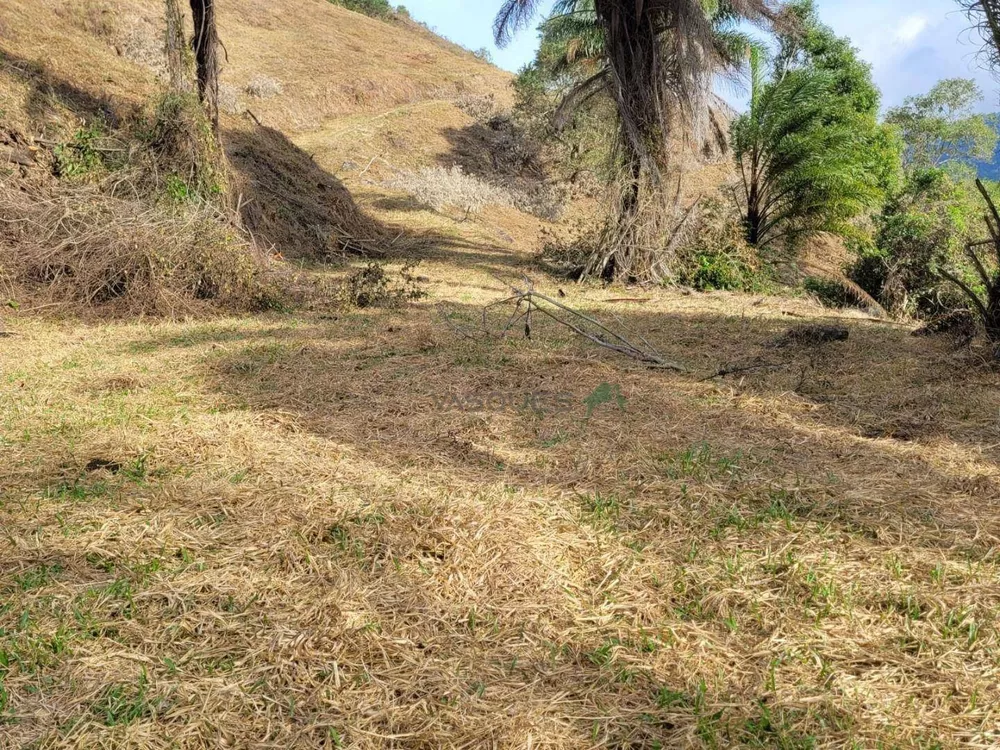 Fazenda, 129 hectares - Foto 20