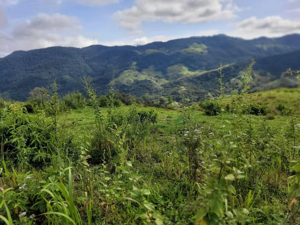Fazenda, 129 hectares - Foto 11