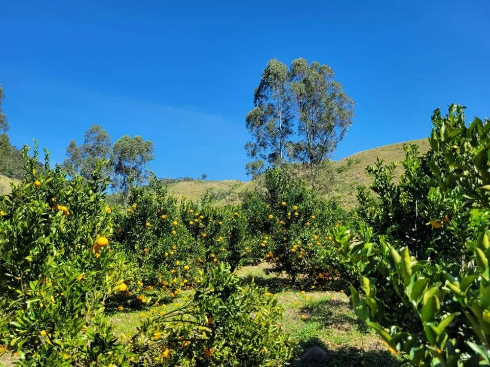 Fazenda, 129 hectares - Foto 31