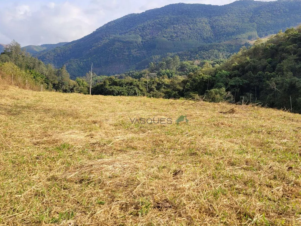 Fazenda, 129 hectares - Foto 21
